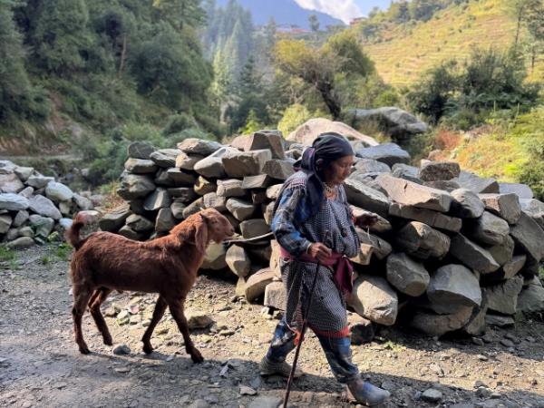 Trekking in the Indian Himalayas