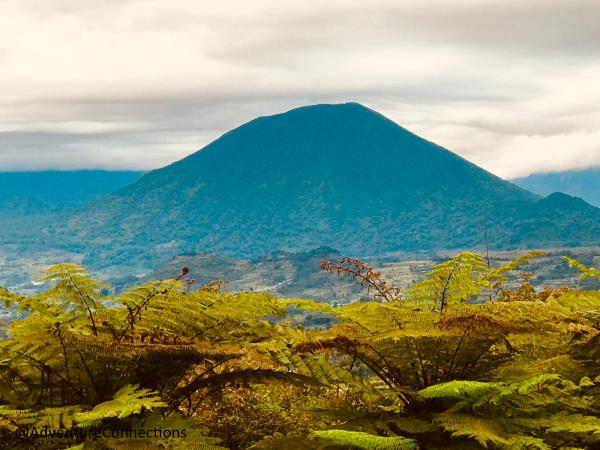 Rwanda tour, tailor made