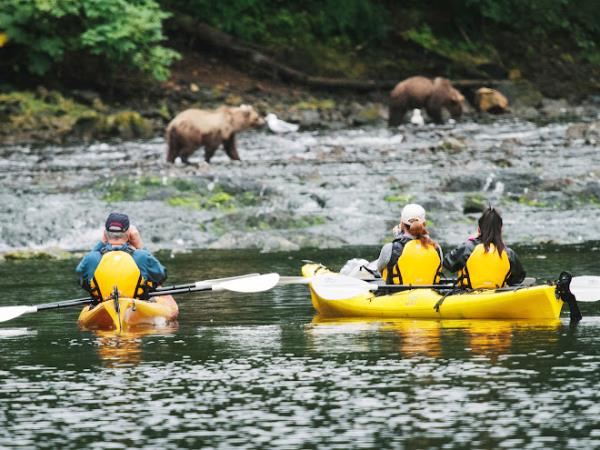 Alaska wildlife & wilderness cruise