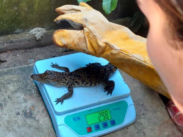 Laos Wildlife sanctuary volunteering vacation
