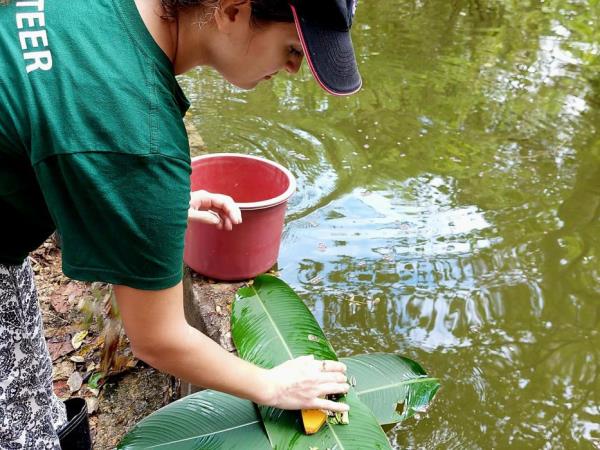 Laos Wildlife sanctuary volunteering vacation