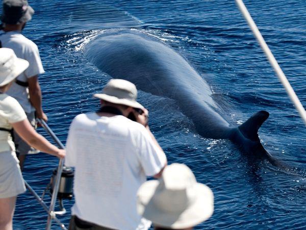 Azores tour, island explorer