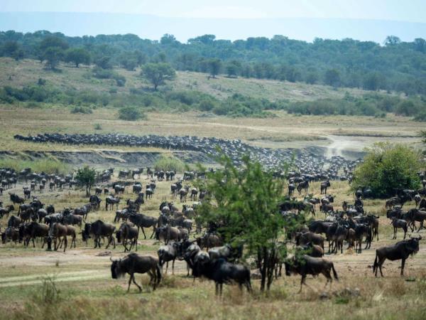 Serengeti walking safari, Tanzania
