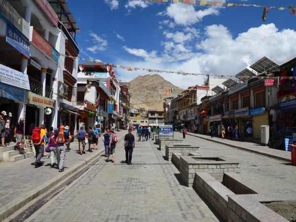 Ladakh trekking holiday, Markha Valley and Kangyatse Peak