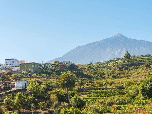Tenerife culture & nature vacation