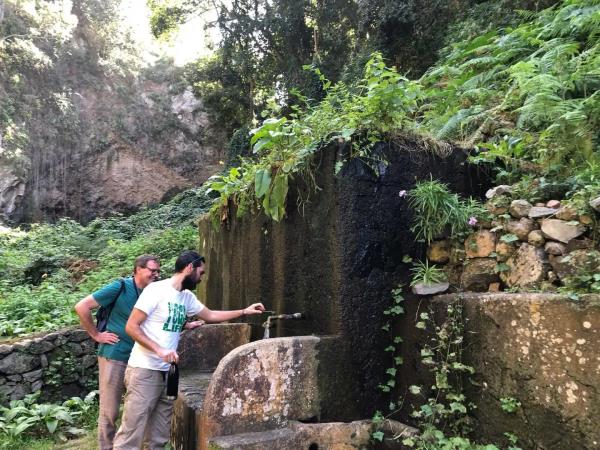 Tenerife culture & nature vacation