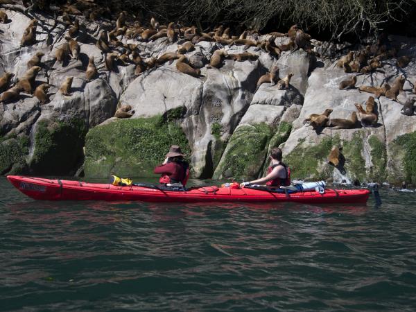 Sea kayaking tour in Northern Patagonia