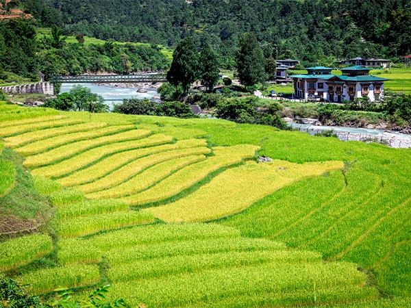 Bhutan activity vacation
