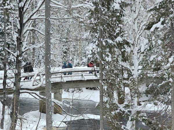 Finland wilderness cabin and activities vacation