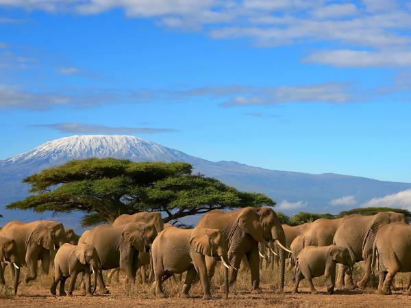 Kenya and Tanzania private safari vacation