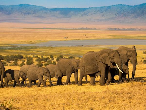 Kenya and Tanzania private safari vacation
