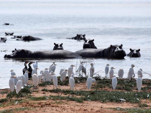 Kenya and Tanzania private safari vacation