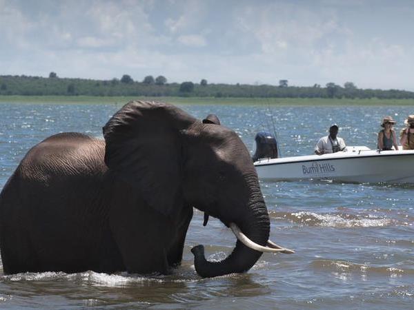 Zimbabwe tailor made vacations