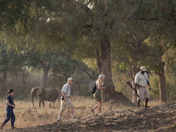 Zimbabwe tailor made vacations
