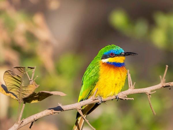 Ethiopia walking tour