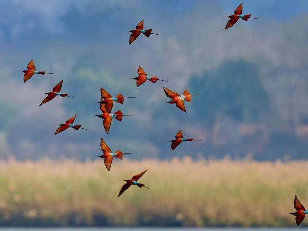 Zimbabwe tailor made vacations