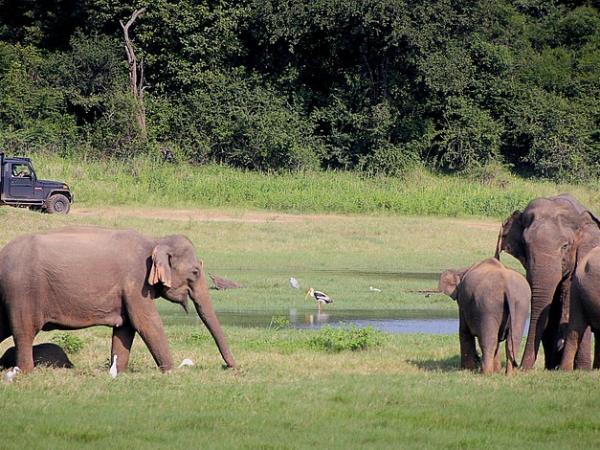 Sri Lanka cycling vacation, tailor made