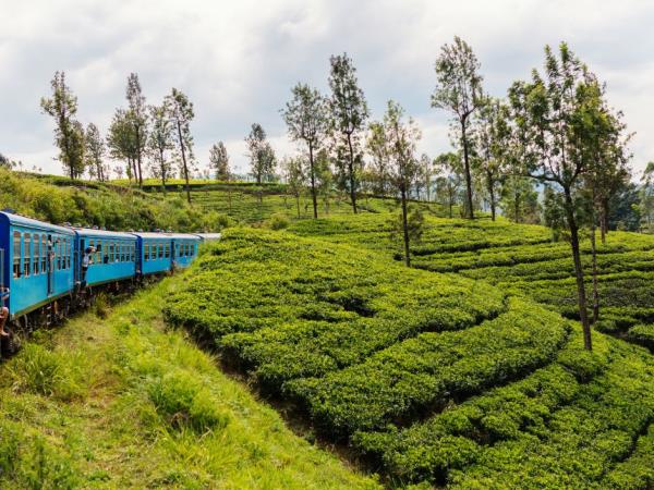 Sri Lanka cycling vacation, tailor made