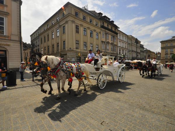 Czech Republic, Slovakia and Poland family tour