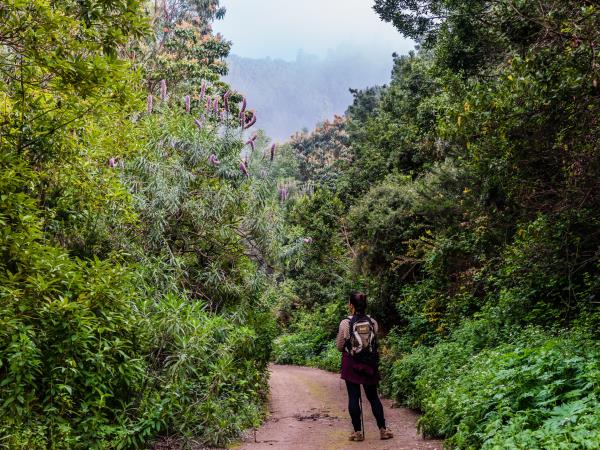 Tenerife vacation with Spanish lessons