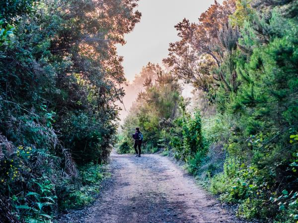 Tenerife culture & nature vacation