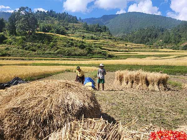 Bhutan culture & home stay tour