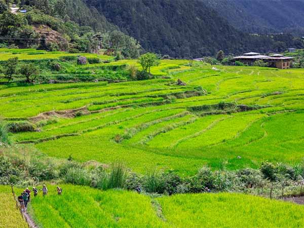 Western Bhutan walking vacation