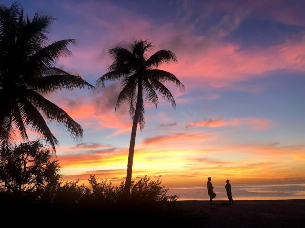 Desert island survival in Panama