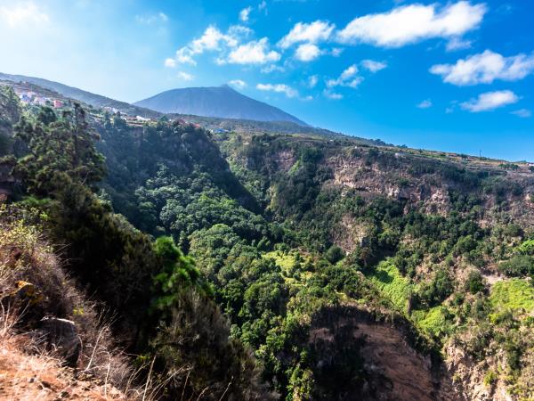 Learn Spanish in Tenerife