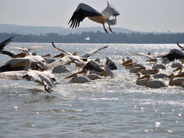 Ethiopia guided highlights tour
