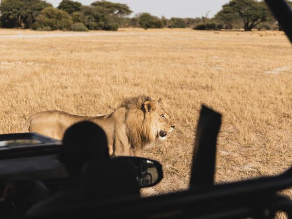 Botswana and Zimbabwe highlights tour