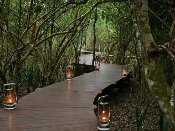 Cape Town to Johannesburg self drive vacation