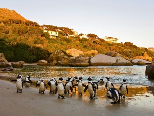 Cape Town to Johannesburg self drive vacation