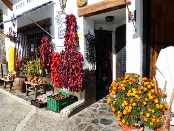 Pilates and walking vacation in Spain