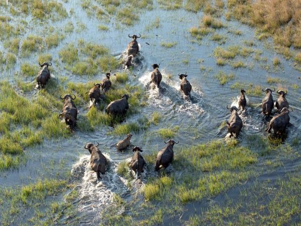 Okavango Delta and Tsodilo Hills, Botswana