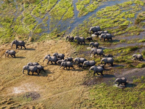 Okavango Delta and Tsodilo Hills, Botswana