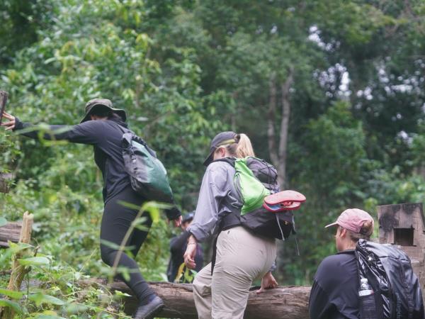Bangkok to Chiang Mai tour, elephants, trekking & culture