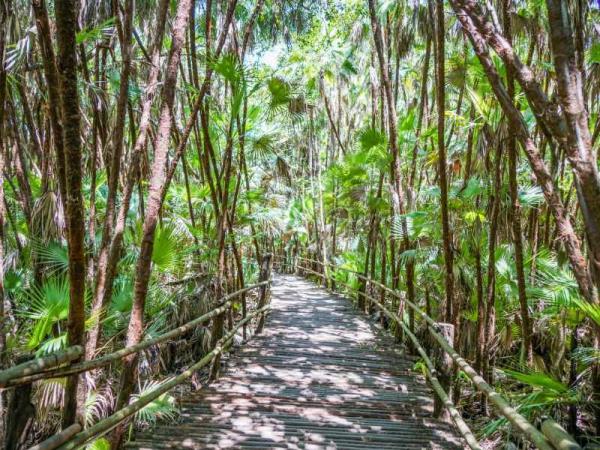 Belize adventure & Island hopping vacation