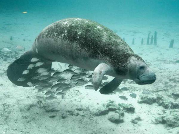 Belize adventure & Island hopping vacation
