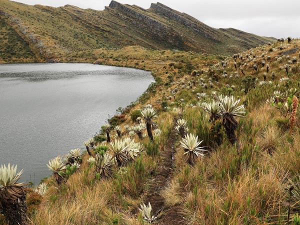 Colombia hiking vacation
