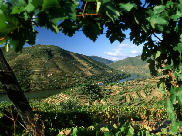 Douro Valley e-bike vacation, Portugal