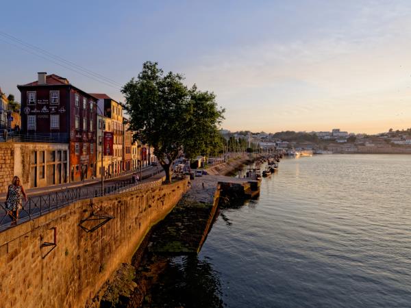 Douro Valley e-bike vacation, Portugal