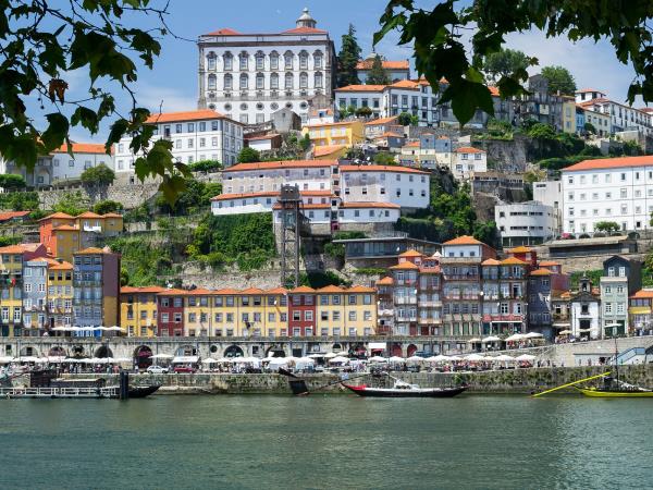 Douro Valley e-bike vacation, Portugal