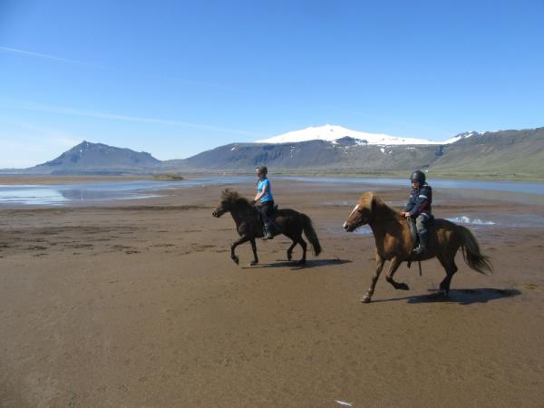 Iceland highlights self drive vacation