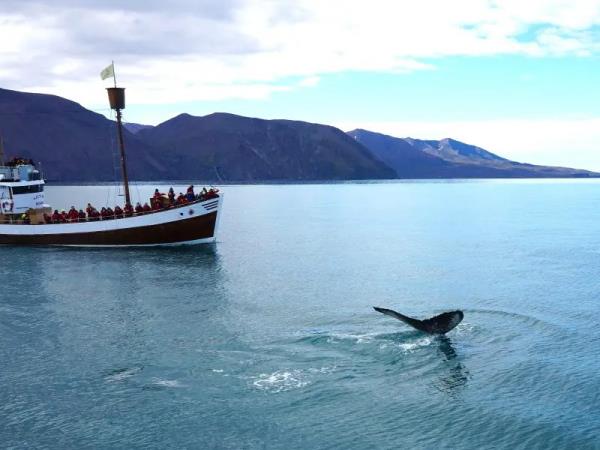 Iceland highlights self drive vacation