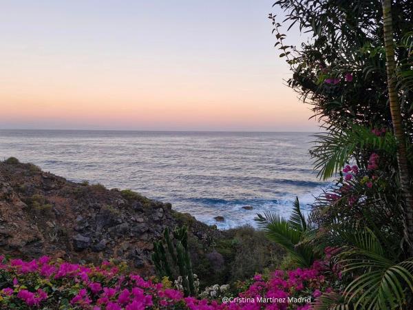 Tenerife culture & nature vacation