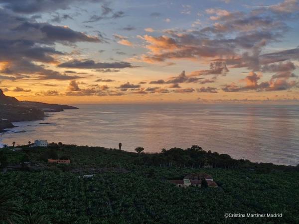 Learn Spanish and yoga in Tenerife