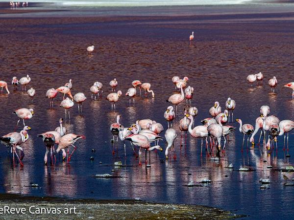 Natural highlights of Bolivia vacation