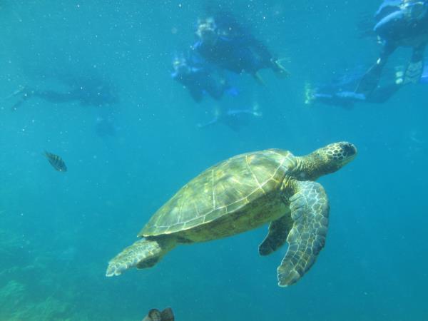 Galapagos adventure vacation