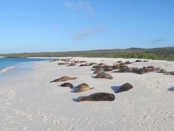 Galapagos adventure vacation